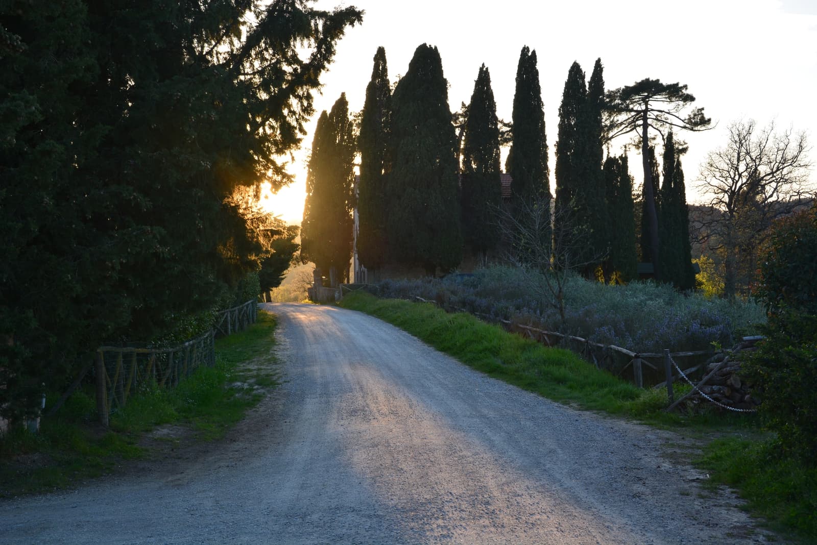 strada
