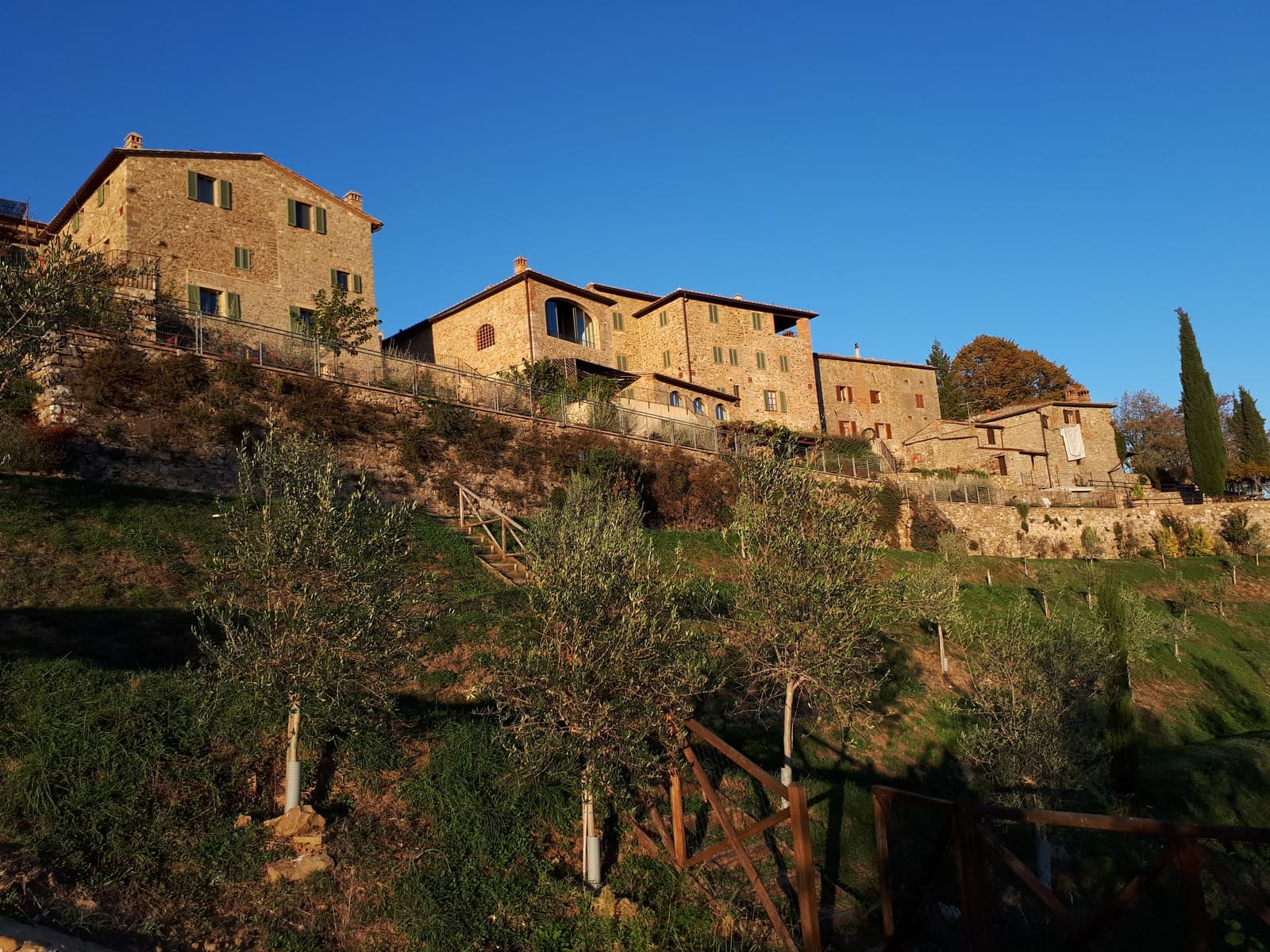 panorama